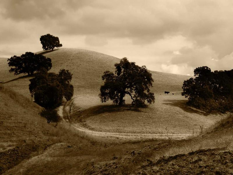 sudoku brain training screenshot 5